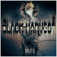 Black Harvest (USA) : Mute